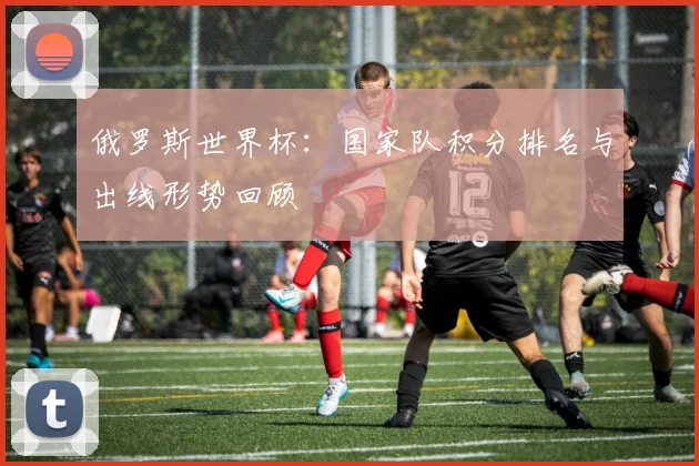 俄罗斯世界杯：国家队积分排名与出线形势回顾