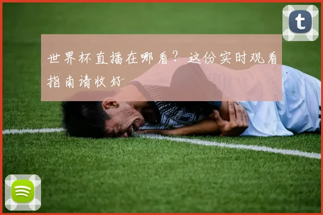 世界杯直播在哪看？这份实时观看指南请收好