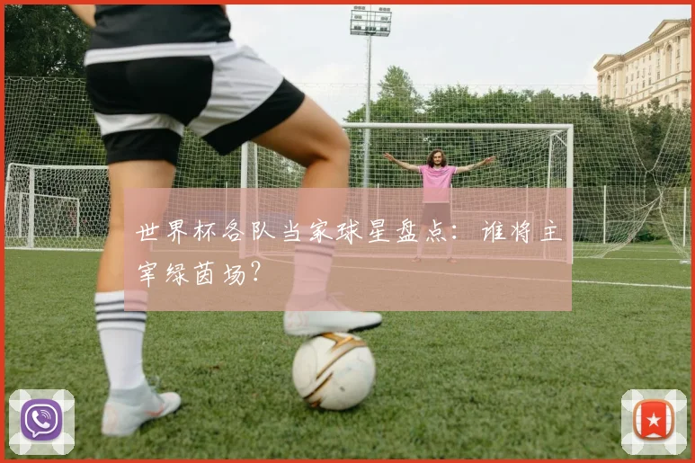 世界杯各队当家球星盘点：谁将主宰绿茵场？