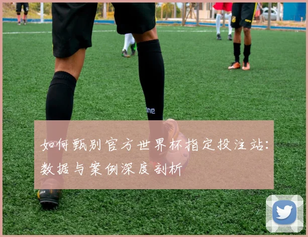 如何甄别官方世界杯指定投注站：数据与案例深度剖析