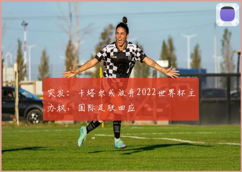 突发：卡塔尔或放弃2022世界杯主办权，国际足联回应