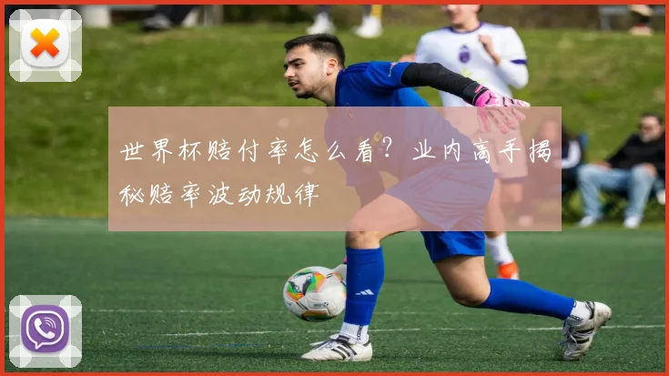 世界杯赔付率怎么看?业内高手揭秘赔率波动规律