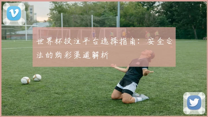 世界杯投注平台选择指南：安全合法的购彩渠道解析