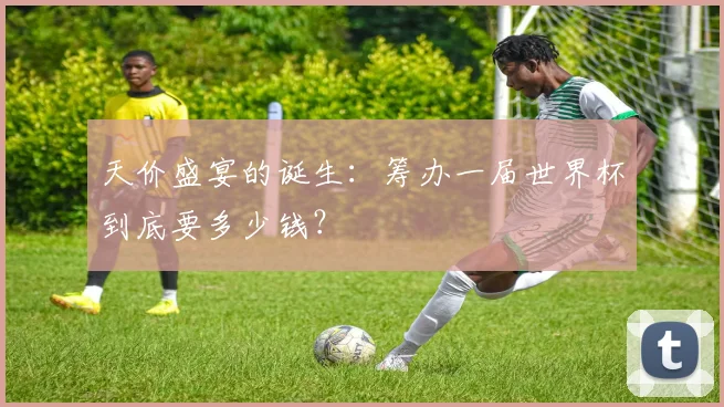 天价盛宴的诞生:筹办一届世界杯到底要多少钱?