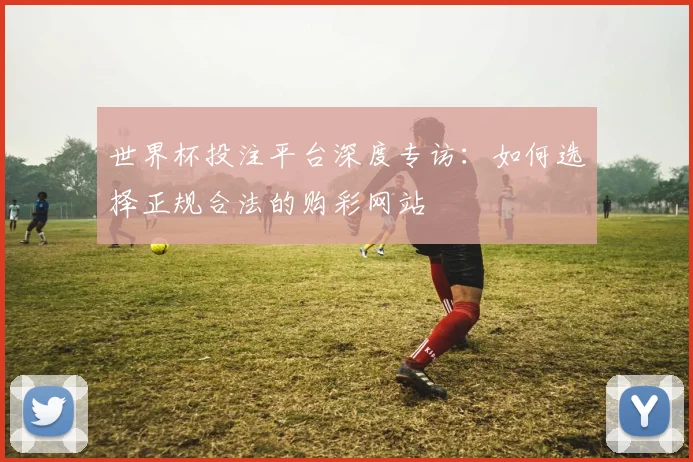 世界杯投注平台深度专访:如何选择正规合法的购彩网站