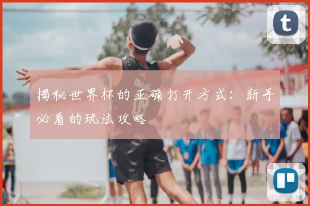 揭秘世界杯的正确打开方式:新手必看的玩法攻略