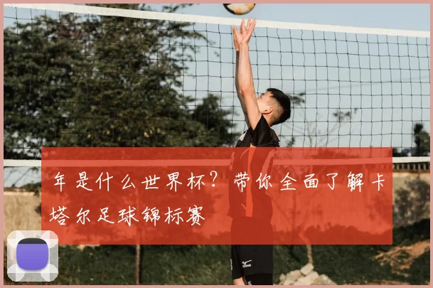 年是什么世界杯？带你全面了解卡塔尔足球锦标赛