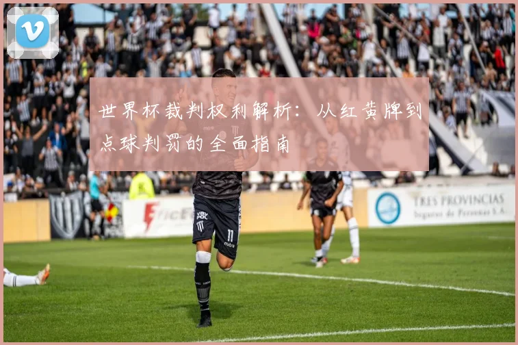 世界杯裁判权利解析:从红黄牌到点球判罚的全面指南