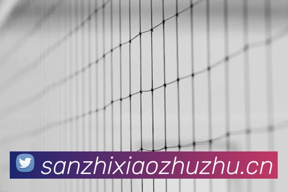体育App 体育App